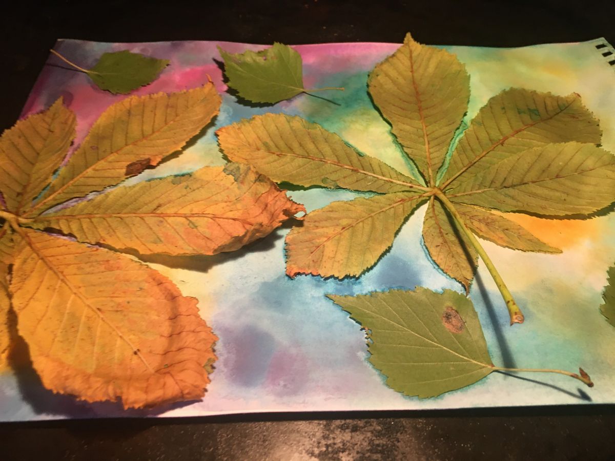 maluj jako podzim radka rubešová podzimní online výzva zdarma pro rodiče a děti na prožitkové tvoření