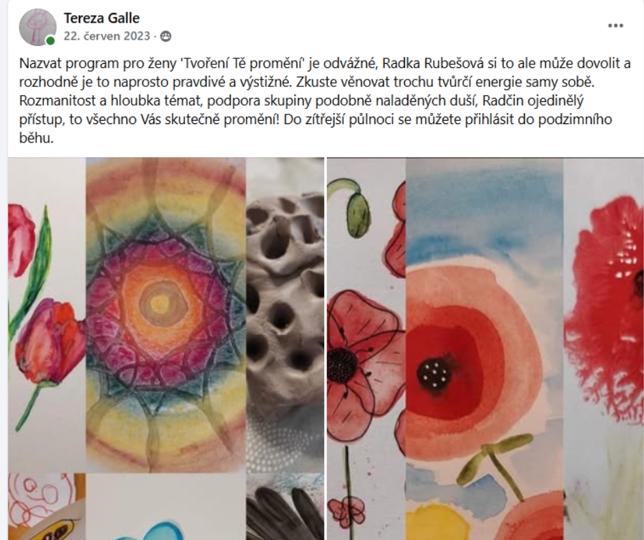 Reference Terezy Galle k programu Radky Rubešové Tvoření tě promění
